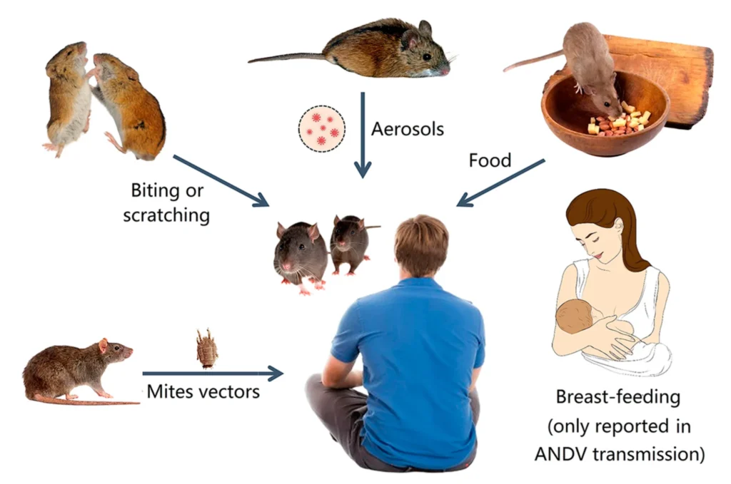 Senior Indian virologist at AIIMS Patna laboratory testing for hantavirus symptoms and RT-PCR samples 2026.